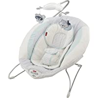 Fisher-Price Moonlight Meadow Deluxe Bouncer, portable plush infant seat with music, sounds, and vibrations