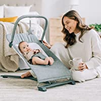 Baby Delight Alpine Deluxe Portable Bouncer, Charcoal Tweed , 28x18x21 Inch (Pack of 1)