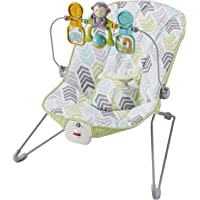 Fisher-Price Baby's Bouncer, Green/Blue/Grey (DTG94)