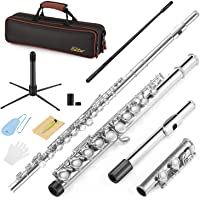 Eastar C Flutes Closed Hole C Flute Musical Instrument with Cleaning Rod, Carrying Case, Stand, Gloves and Tuning Rod…