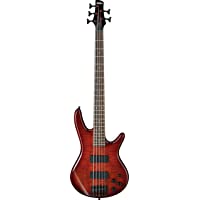 Ibanez 5 String Bass Guitar, Right, Brown (GSR205SMCNB)