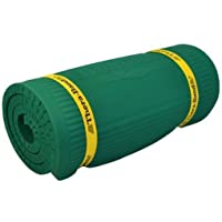 Theraband Green-2ft, Green, 2ft x .6in