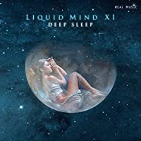 Liquid Mind XI: Deep Sleep