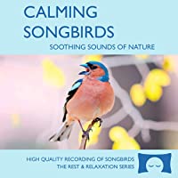 Calming Songbirds - Nature Sounds Recording Of Bird Calls - For Meditation, Relaxation and Creating a Soothing…